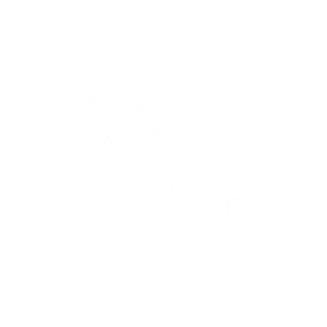 VS (versus)