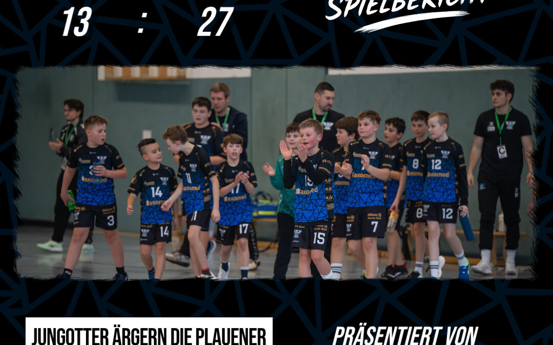 Jungotter zeigen klare Entwicklung trotz Niederlage gegen Plauen