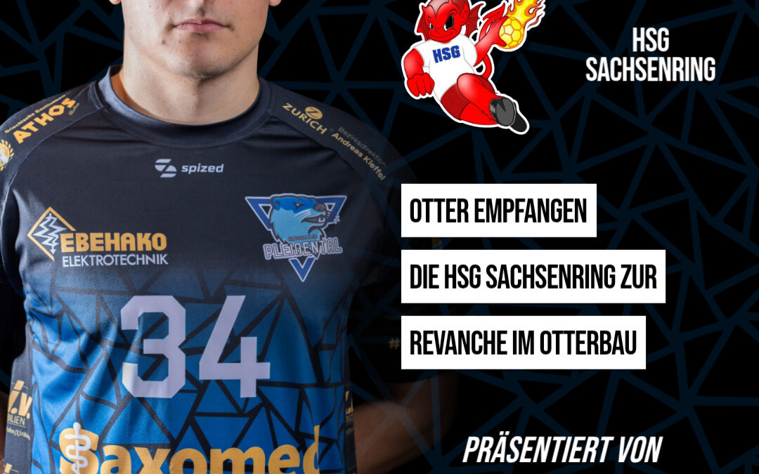 Otter empfangen die HSG Sachsenring zur Revanche