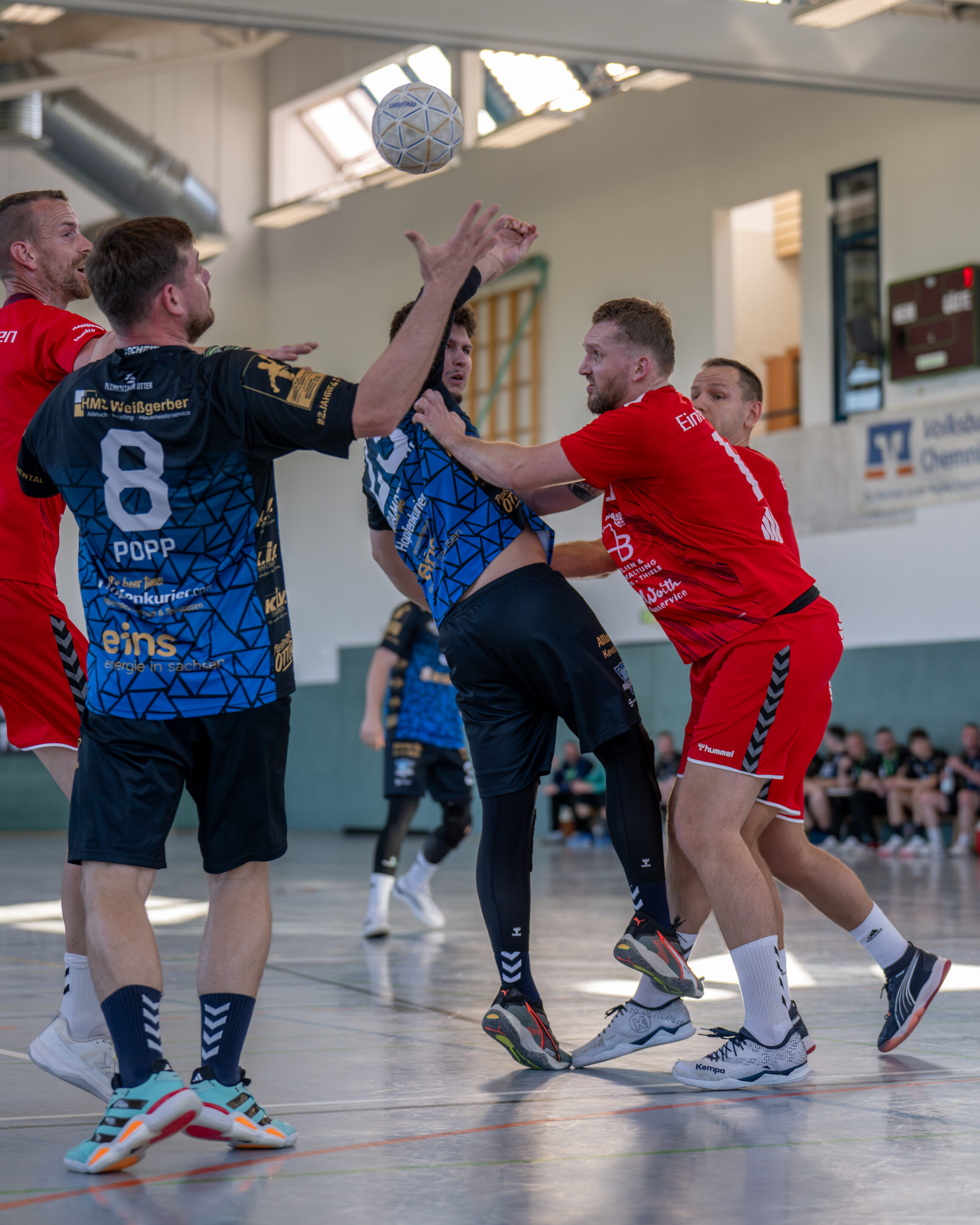 Regionsoberliga Südwestsachsen – 22. Spieltag 25.04.2026 – Handball Pleißental vs. zweite Männermannschaft HC Einheit Plauen 50
